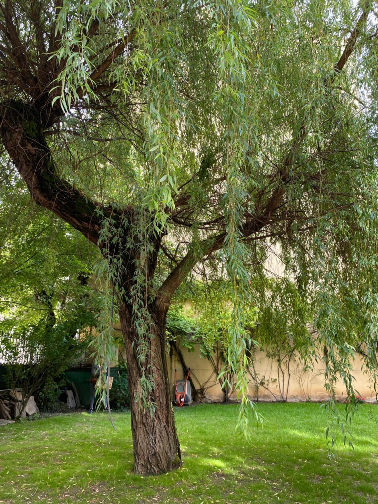 La Villa Chorier Grenoble Dış mekan fotoğraf